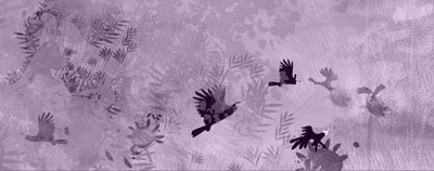 Detail projection by Montse Noguera